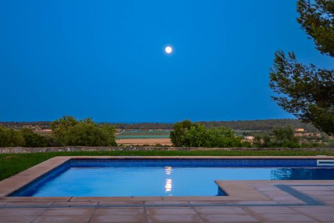 Finca till salu Manacor, Mallorca, Spanien 4 sovrum, 619 kvm. Nr. 137518 - foto 5
