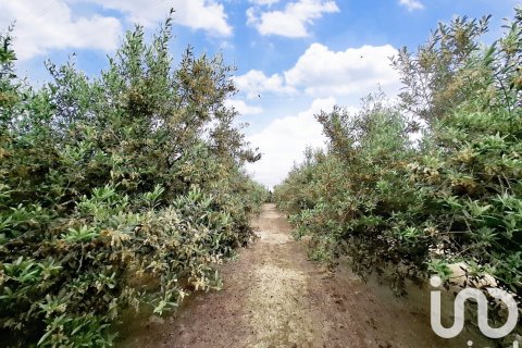 Talo myytävänä Totana, Murcia, Espanja, 4 makuuhuonetta, 332 m2 No. 172940 - kuva 25