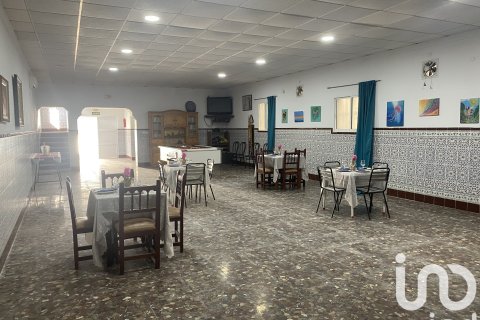 House à vendre à Chiclana de la Frontera, Cadiz, Espagne, 5 chambres, 693 m2 No. 153233 - photo 19