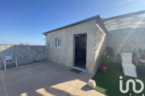 House à vendre à Chiclana de la Frontera, Cadiz, Espagne, 5 chambres, 693 m2 No. 153233 - photo 24