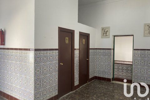 House à vendre à Chiclana de la Frontera, Cadiz, Espagne, 5 chambres, 693 m2 No. 153233 - photo 18