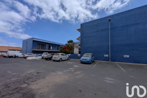 Продажа коммерческой недвижимости в Адехе, Тенерифе, Испания 1022м2 №153238 - фото 6