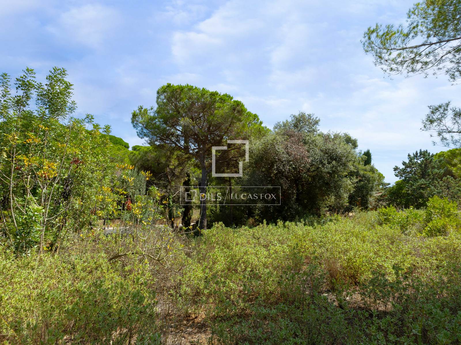 Tontti Sant Andreu de Llavaneres, Barcelona, Espanja No. 192732