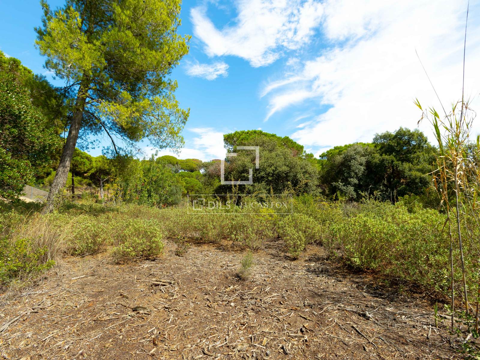 Tontti Sant Andreu de Llavaneres, Barcelona, Espanja No. 192732