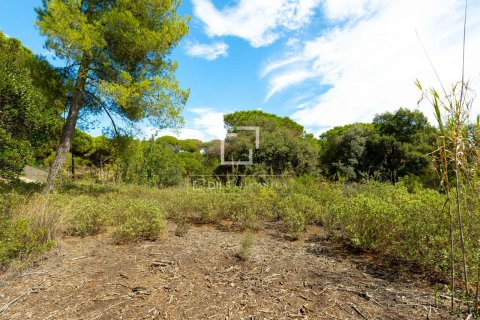 Tontti myytävänä Sant Andreu de Llavaneres, Barcelona, Espanja ,  No. 192732 - kuva 6