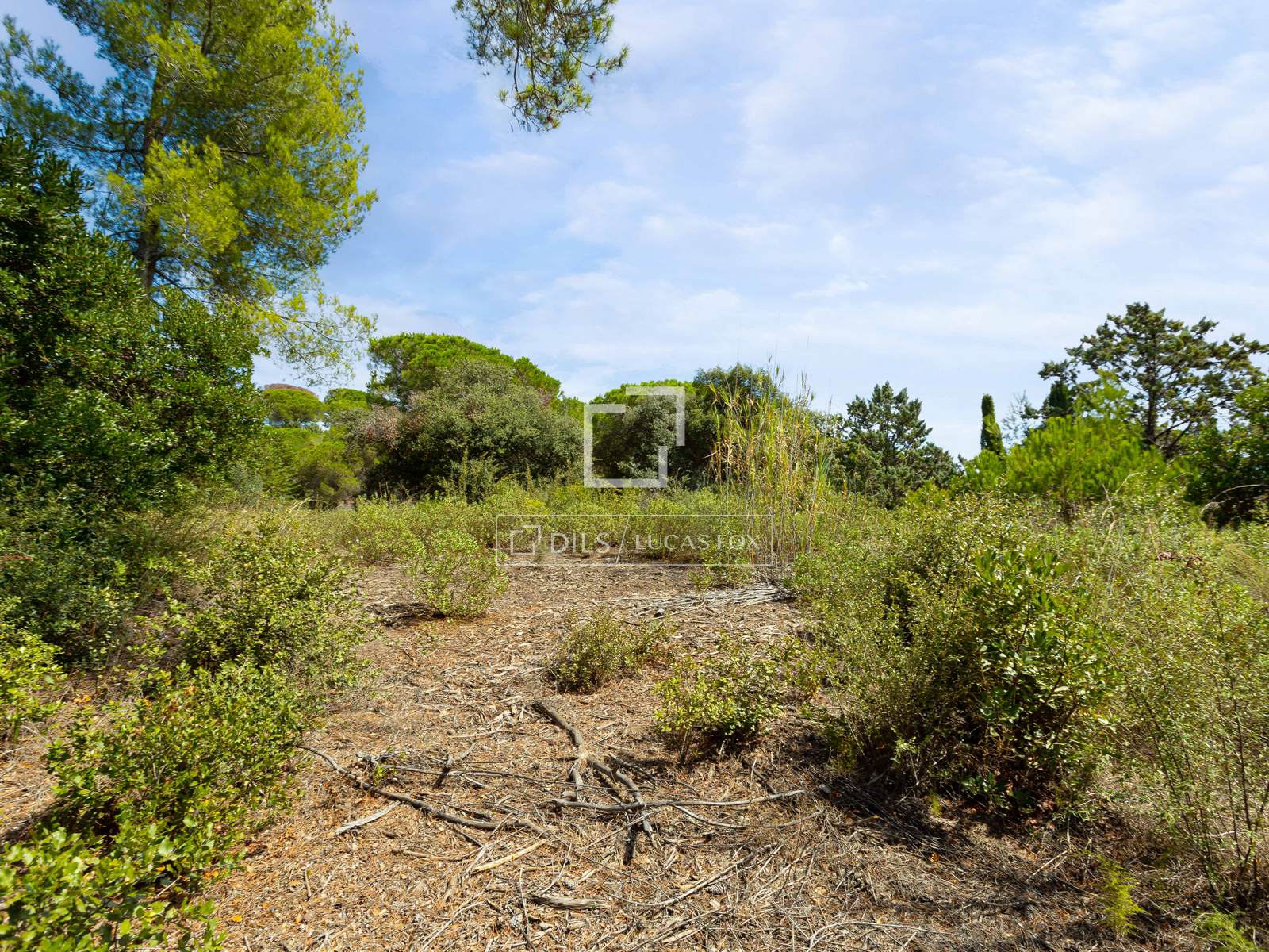 Tontti Sant Andreu de Llavaneres, Barcelona, Espanja No. 192732