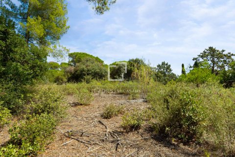 Tontti myytävänä Sant Andreu de Llavaneres, Barcelona, Espanja ,  No. 192732 - kuva 5
