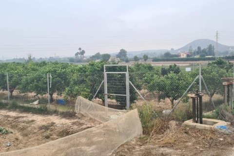 Land plot for sale in Rojales, Alicante, Spain No. 183790 - photo 9