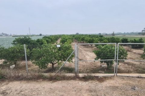 Land plot for sale in Rojales, Alicante, Spain No. 183790 - photo 3