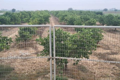 Land plot for sale in Rojales, Alicante, Spain No. 183790 - photo 4