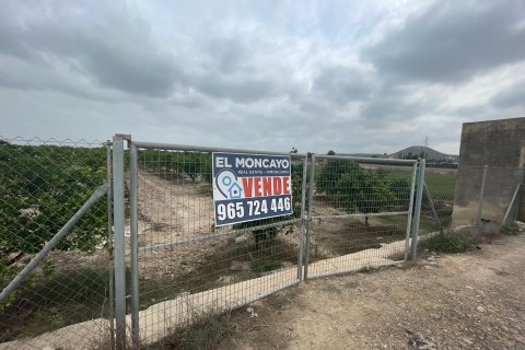 Terreno a Rojales, Alicante, Spagna N° 183790