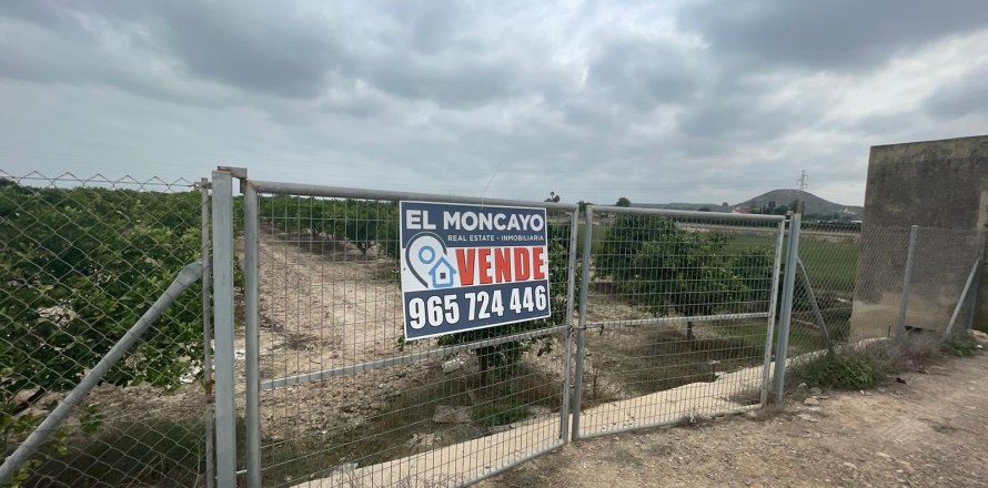 Land plot in Rojales, Alicante, Spain No. 183790