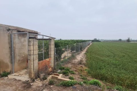 Land plot for sale in Rojales, Alicante, Spain No. 183790 - photo 2
