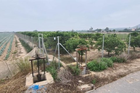 Land plot for sale in Rojales, Alicante, Spain No. 183790 - photo 6