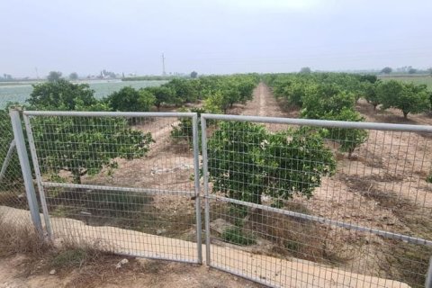 Land plot for sale in Rojales, Alicante, Spain No. 183790 - photo 8