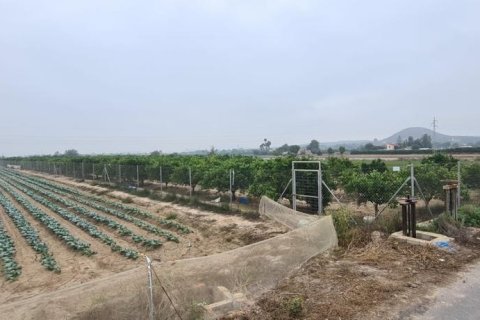 Land plot for sale in Rojales, Alicante, Spain No. 183790 - photo 10