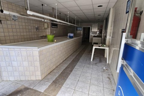 Gewerbeimmobilien zum Verkauf in Elche, Alicante, Spanien 100 m2 Nr. 183788 - Foto 2
