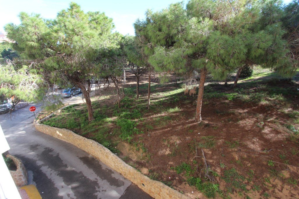 Apartamento en Guardamar del Segura, Alicante, España 3 dormitorios, 90 m2 No. 183787