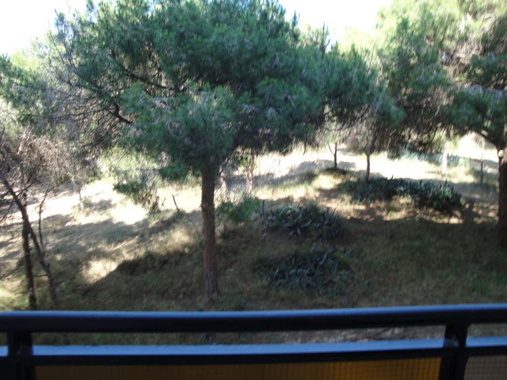 Apartamento en Guardamar del Segura, Alicante, España 3 dormitorios, 90 m2 No. 183787