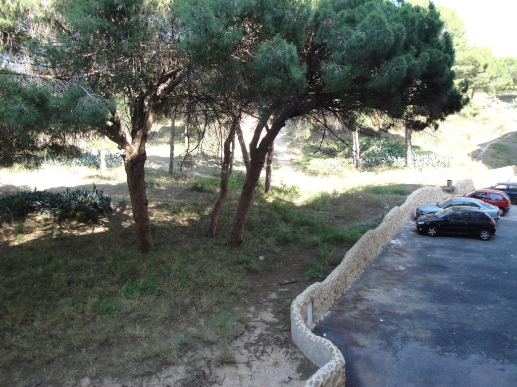 Apartamento en Guardamar del Segura, Alicante, España 3 dormitorios, 90 m2 No. 183787