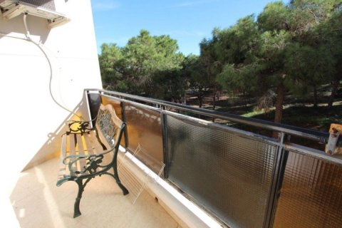 Apartamento en venta en Guardamar del Segura, Alicante, España 3 dormitorios, 90 m2 No. 183787 - foto 30