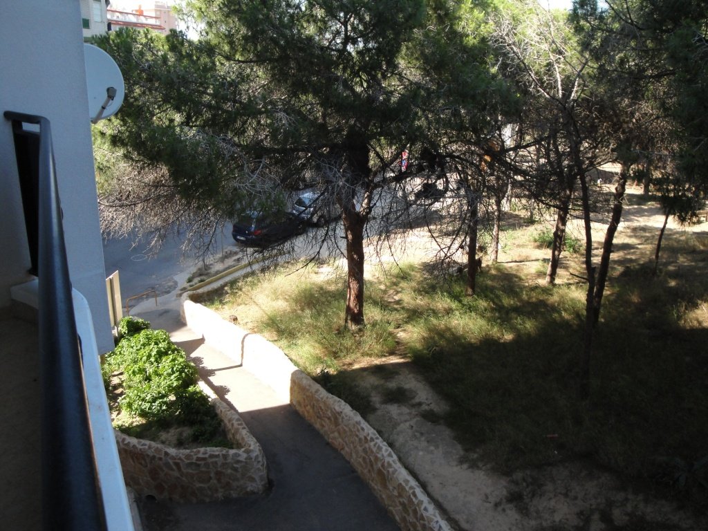 Apartamento en Guardamar del Segura, Alicante, España 3 dormitorios, 90 m2 No. 183787