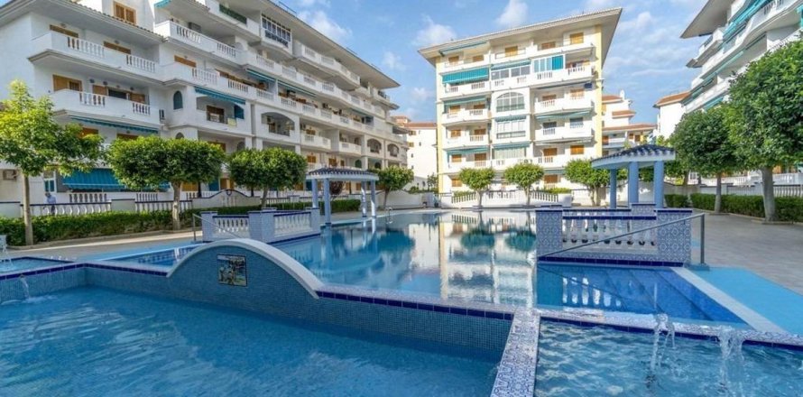 Wohnung in Torrevieja, Alicante, Spanien 1 Schlafzimmer, 46 m2 Nr. 183789