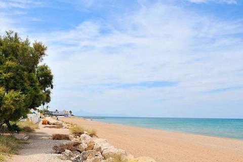 Dzīvoklis pārdošanā Denia, Alicante, Spānijā 2 istabas, 66 m2 Nr. 134585 - attēls 18