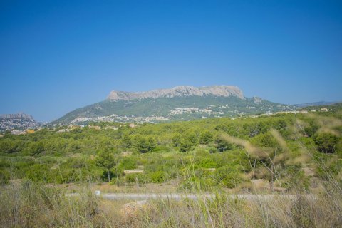Terreno in vendita a Calpe, Alicante, Spagna N° 184602 - foto 4