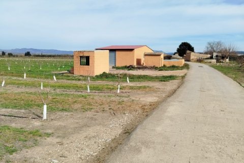 Terreno in vendita a Ginestar, Tarragona, Spagna 12661 mq. N° 186095 - foto 8