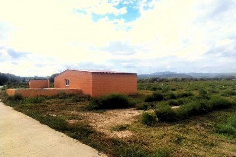 Terreno in vendita a Ginestar, Tarragona, Spagna 12661 mq. N° 186095 - foto 5