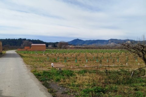Terreno in vendita a Ginestar, Tarragona, Spagna 12661 mq. N° 186095 - foto 10