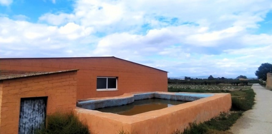 Terreno a Ginestar, Tarragona, Spagna 12661 mq. N° 186095