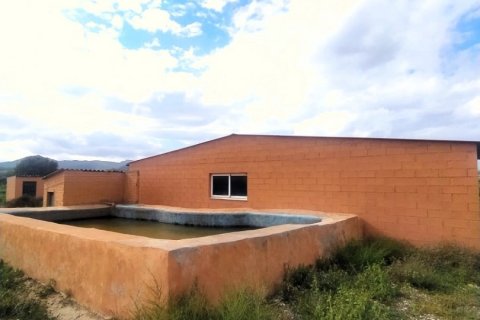 Terreno in vendita a Ginestar, Tarragona, Spagna 12661 mq. N° 186095 - foto 3