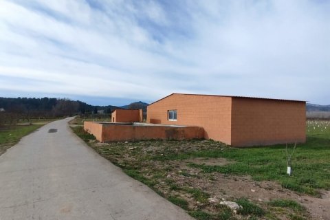 Terreno in vendita a Ginestar, Tarragona, Spagna 12661 mq. N° 186095 - foto 9