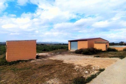 Terreno in vendita a Ginestar, Tarragona, Spagna 12661 mq. N° 186095 - foto 7