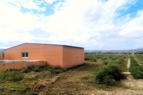 Terreno in vendita a Ginestar, Tarragona, Spagna 12661 mq. N° 186095 - foto 4