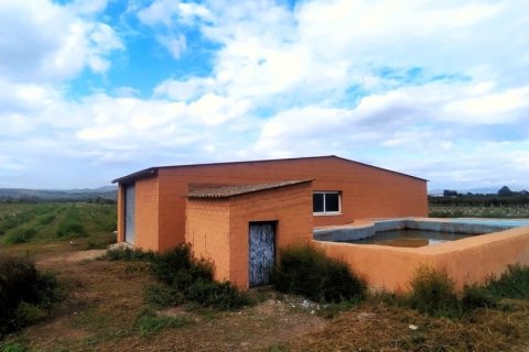 Terreno in vendita a Ginestar, Tarragona, Spagna 12661 mq. N° 186095 - foto 2