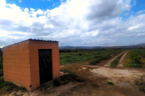 Terreno in vendita a Ginestar, Tarragona, Spagna 12661 mq. N° 186095 - foto 6