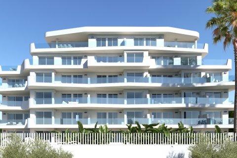 VIVA LIFE BEACH en Pilar de la Horadada, Alicante, España No. 166374