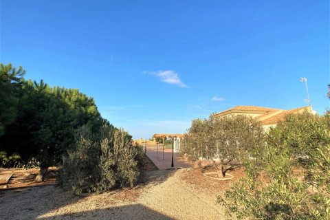 Villa till salu i Los Belones, Murcia, Spanien 4 sovrum, 534 kvm. Nr. 80341 - foto 26