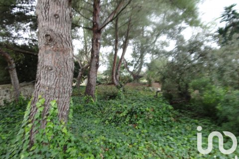 Dom w Ariany, Mallorca, Hiszpania 8 sypialni, 866 mkw. nr 153551 – zdjęcie 16