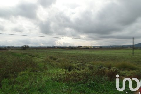 Dom w Ariany, Mallorca, Hiszpania 8 sypialni, 866 mkw. nr 153551 – zdjęcie 14