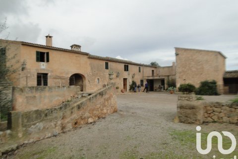 Hus i Ariany, Mallorca, Spanien 8 sovrum, 866 kvm. Nr. 153551