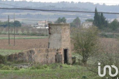 Dom w Ariany, Mallorca, Hiszpania 8 sypialni, 866 mkw. nr 153551 – zdjęcie 12