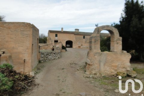 Dom w Ariany, Mallorca, Hiszpania 8 sypialni, 866 mkw. nr 153551 – zdjęcie 4