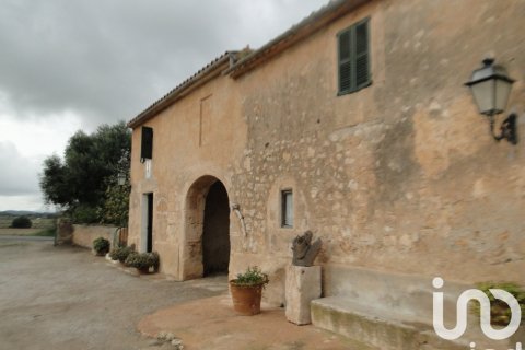 Dom w Ariany, Mallorca, Hiszpania 8 sypialni, 866 mkw. nr 153551 – zdjęcie 3