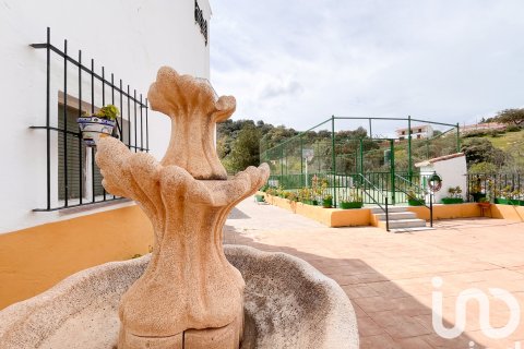 House à vendre à Casabermeja, Malaga, Espagne, 8 chambres, 300 m2 No. 153550 - photo 11