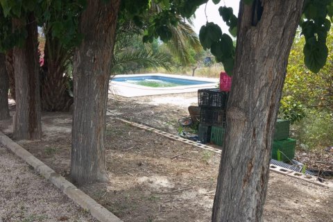 Finca zum Verkauf in Redovan, Alicante, Spanien 2 Schlafzimmer, 240 m2 Nr. 189625 - Foto 13