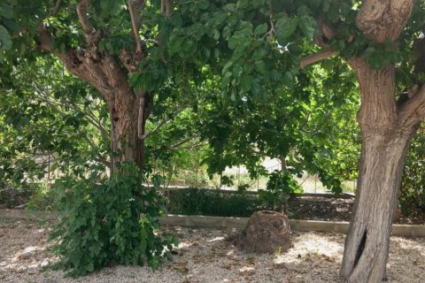 Finca zum Verkauf in Redovan, Alicante, Spanien 2 Schlafzimmer, 240 m2 Nr. 189625 - Foto 8